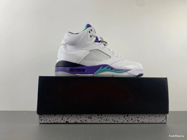 Kick Theory 136027-108 Grape 5 Air Jordan (2013) Retro 0820
